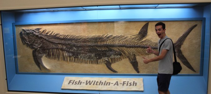 Zack Neher for scale with the famous Xiphactinus gillicus fish-within-a-fish Inception fossil on display at the Sternberg Museum of Natural History in Kansas Photo Credit Mark Neher